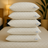 Pack Oreillers + Drap et Taies d'oreillers